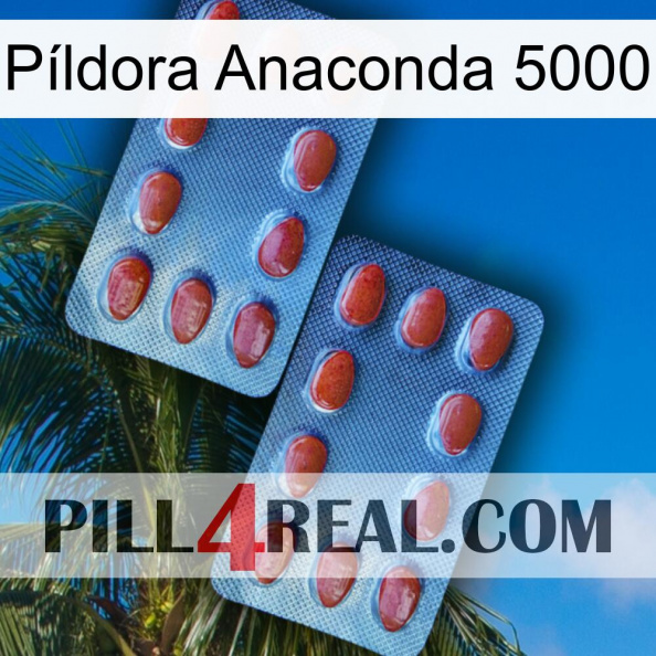 Píldora Anaconda 5000 05.jpg